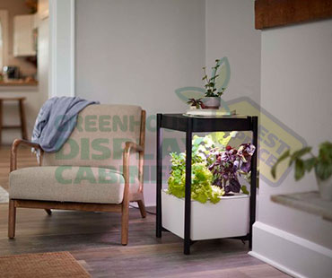 Counter Greenhouse Display Cabinet