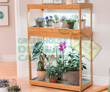 Counter Greenhouse Display Cabinet