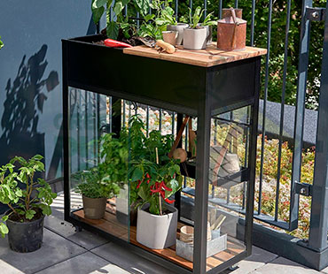 Counter Greenhouse Display Cabinet