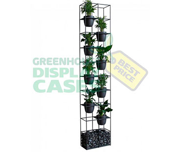 Custom Greenhouse Display Cabinet