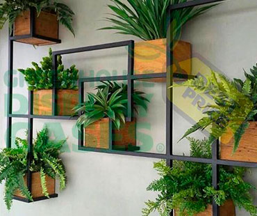 Custom Greenhouse Display Cabinet