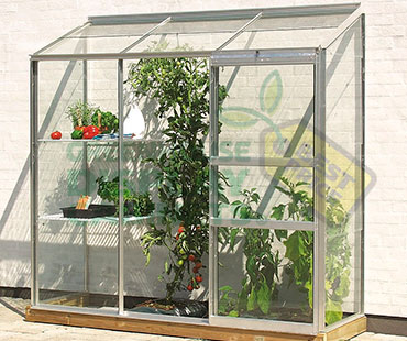 Custom Greenhouse Display Cabinet