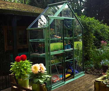 LARGE GREENHOUSE DISPLAY CABINETS