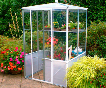 Large Greenhouse Display Cabinet