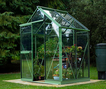 Large Greenhouse Display Cabinet