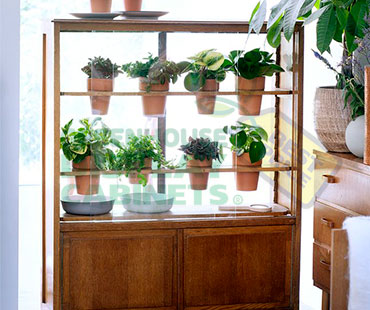 Pedestal Greenhouse Display Cabinet