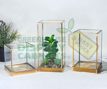 Table Top Greenhouse Display Cabinet