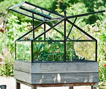 Table Top Greenhouse Display Cabinet