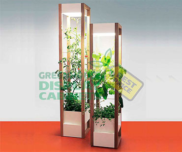 Tower Greenhouse Display Cabinet