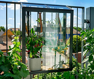 WALL MOUNTED GREENHOUSE DISPLAY CABINETS