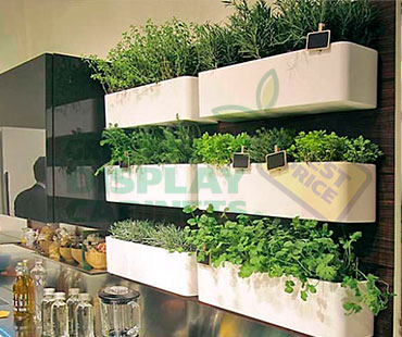 Wall Mounted Greenhouse Display Cabinet