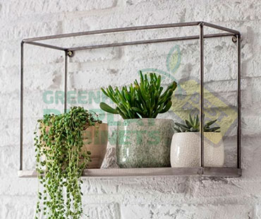 Wall Mounted Greenhouse Display Cabinet